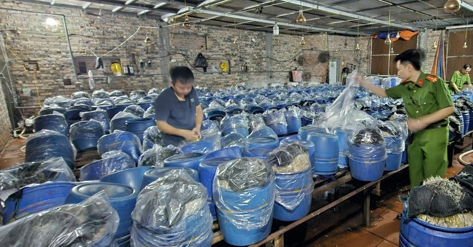"Nước kẹo" ủ gần 1.000 tấn giá đỗ gây nguy hại ra sao tới sức khỏe?