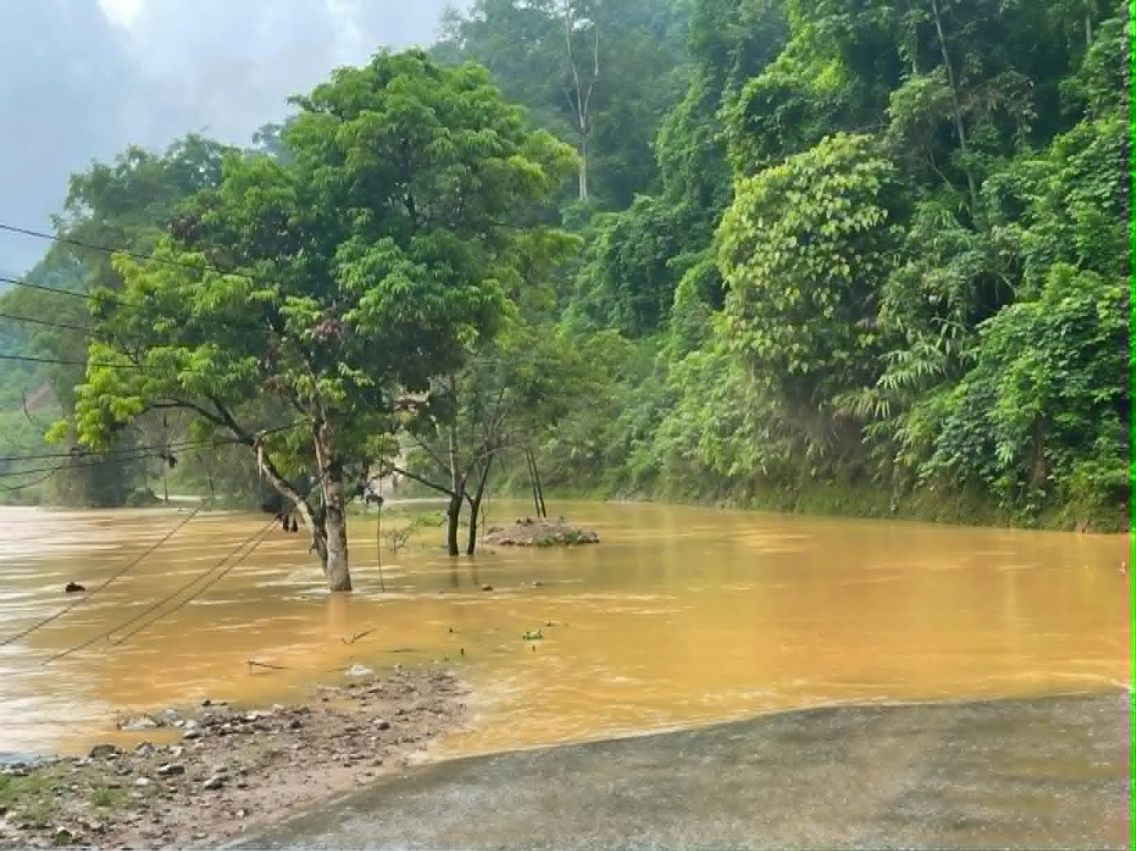 cao bang ngap ung.jpg