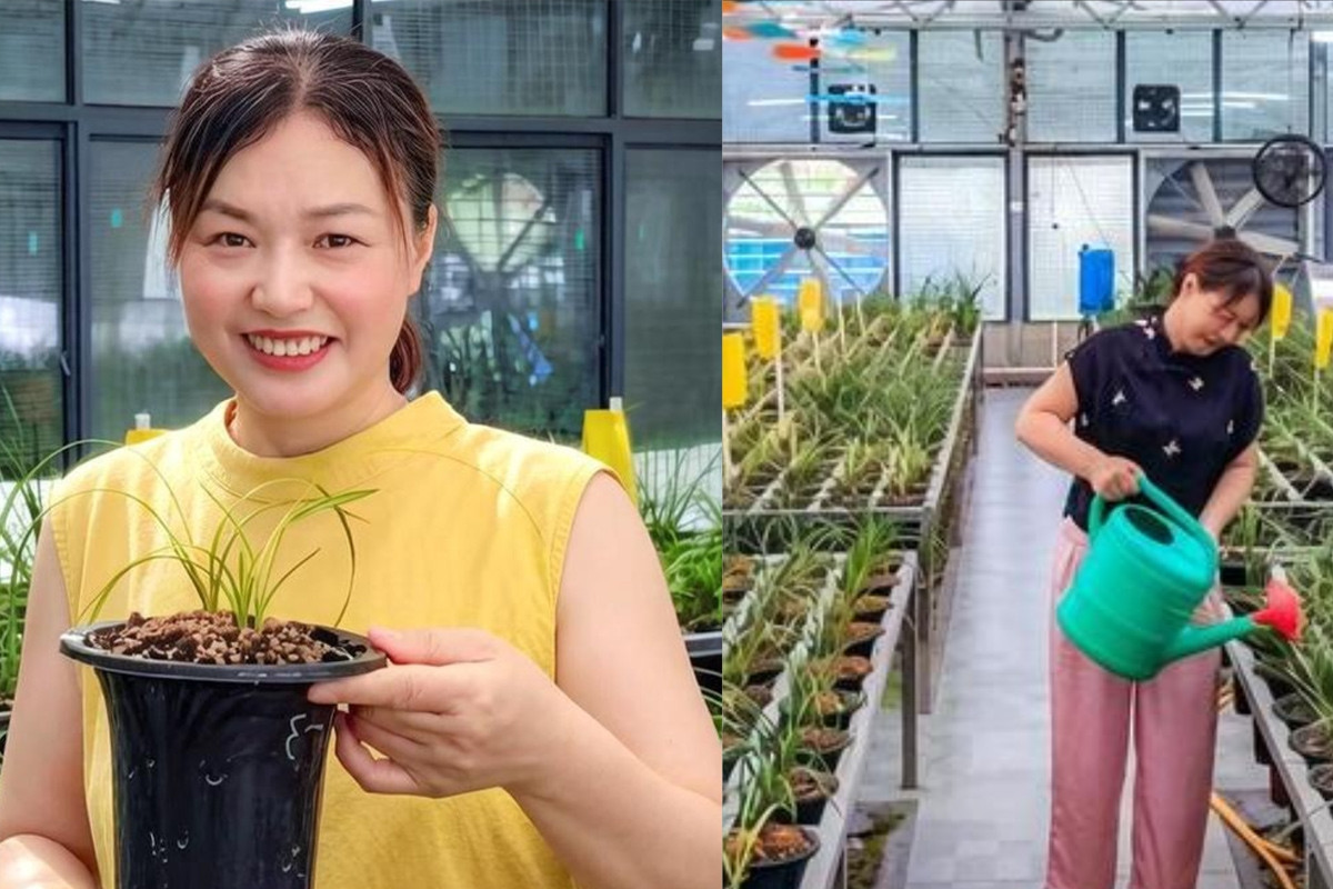 Nữ doanh nhân giúp cả làng đổi đời nhờ loài hoa đặc biệt
