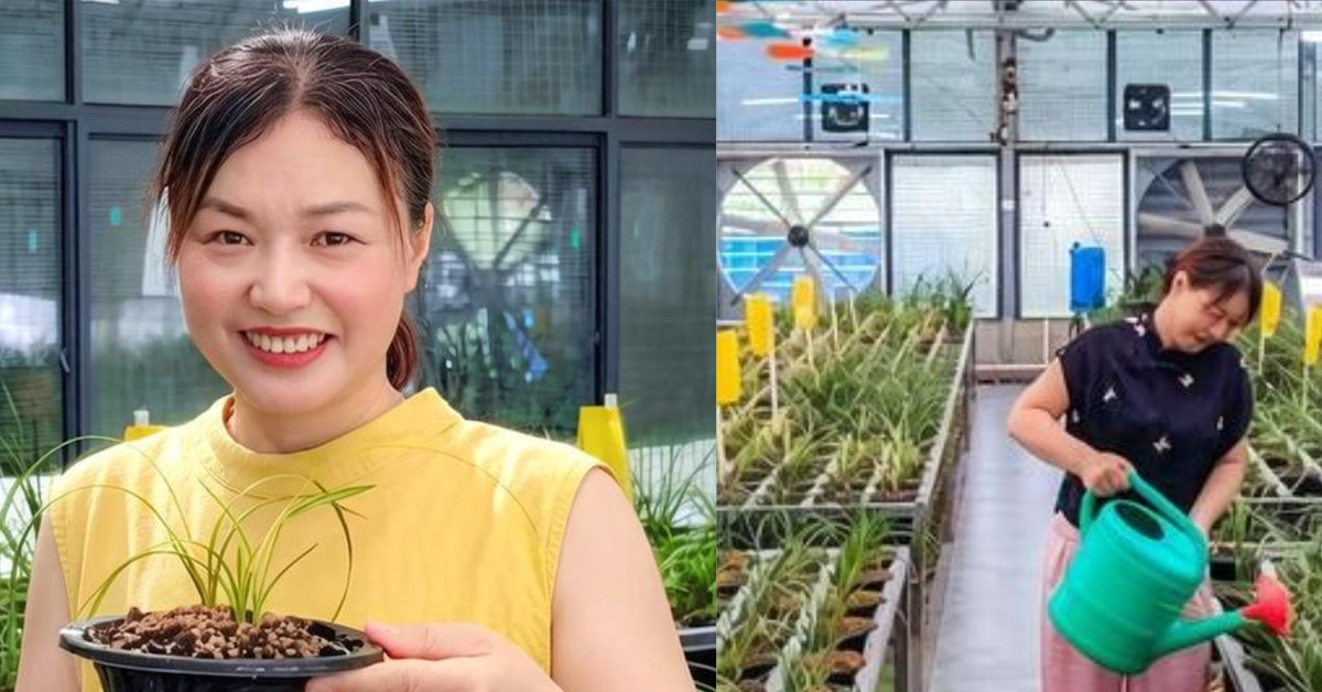 Nữ doanh nhân giúp cả làng đổi đời nhờ loài hoa đặc biệt