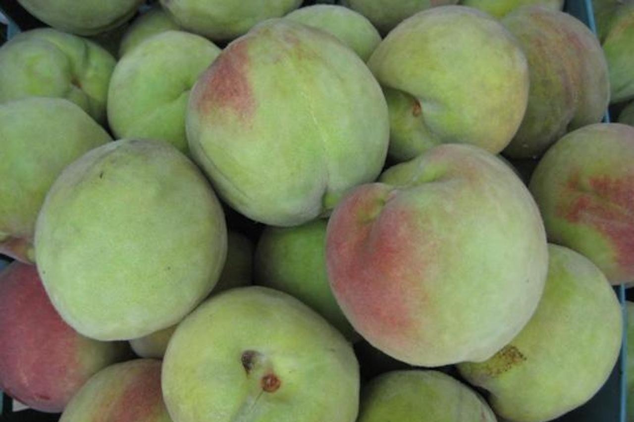Quả đào giàu vitamin C nhưng bộ phận này tuyệt đối không ăn