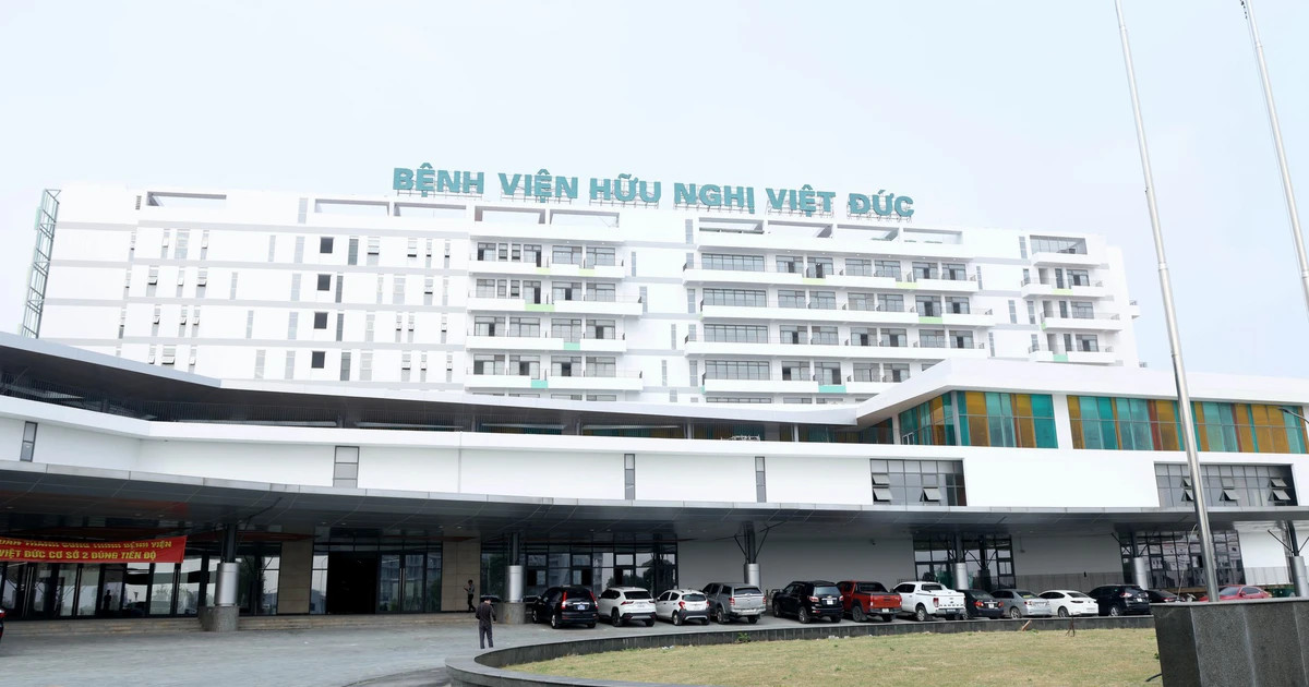 viet duc 2.webp