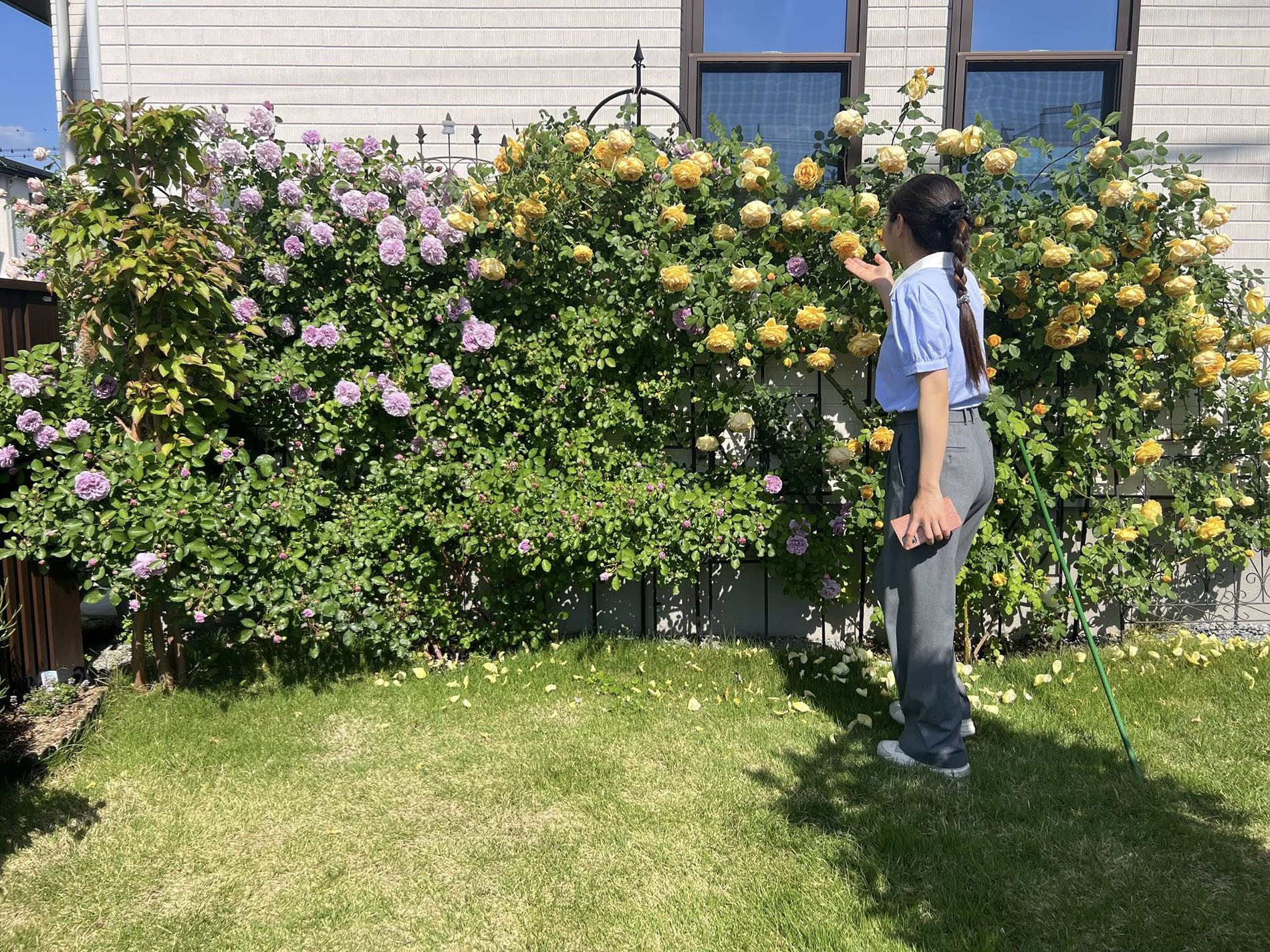 696389533_27494874056773200_4599729088267223904_n.jpg