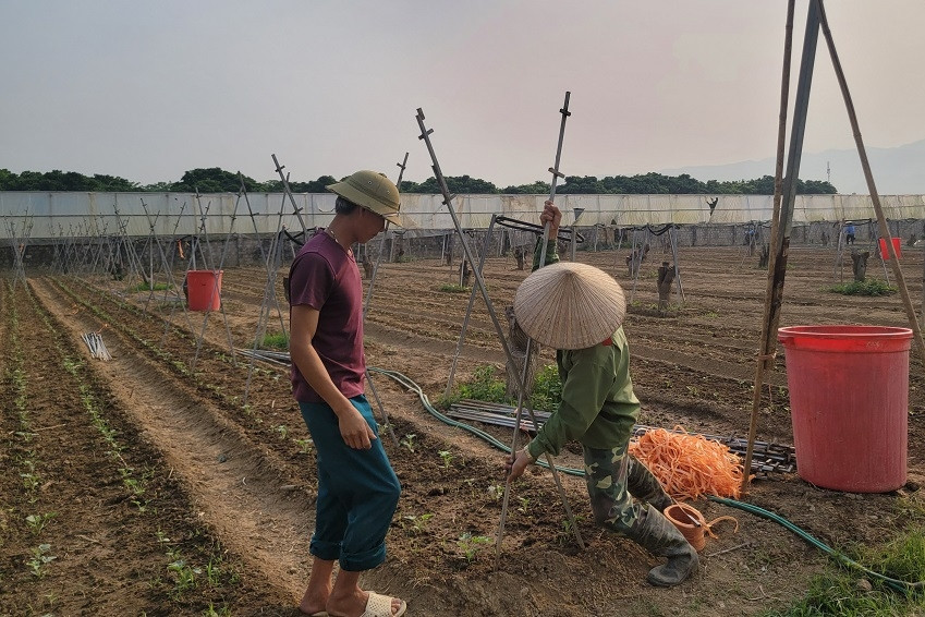 Nghị quyết 57 - mở ra cơ hội mới để Phù Yên giảm nghèo thông tin