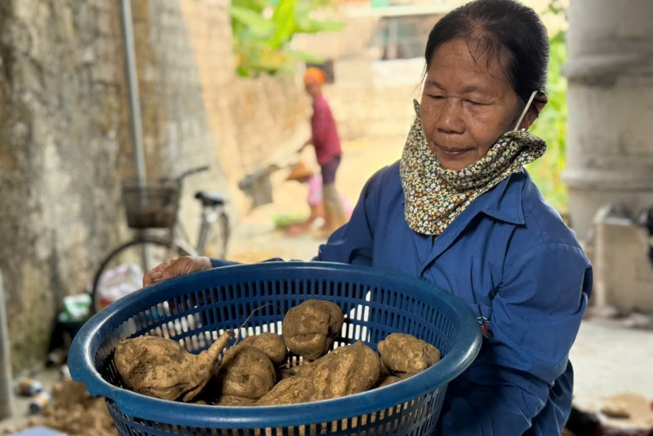 Người phụ nữ một mình bán khoai ở cổng viện, nuôi mẹ già và 3 con tâm thần
