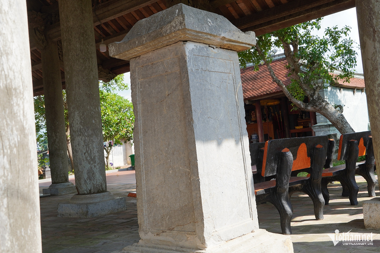 W-đình sừng 7.JPG.jpg