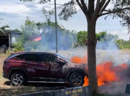ảnh 1.jpg