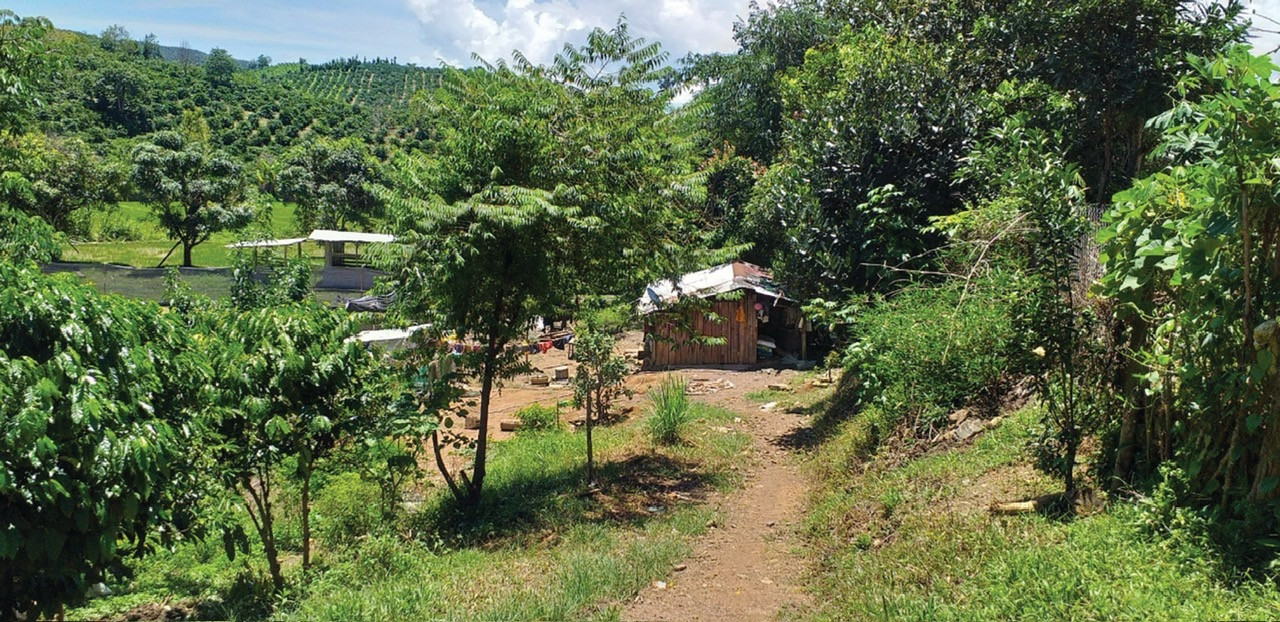 Tín dụng đen 2.jpg