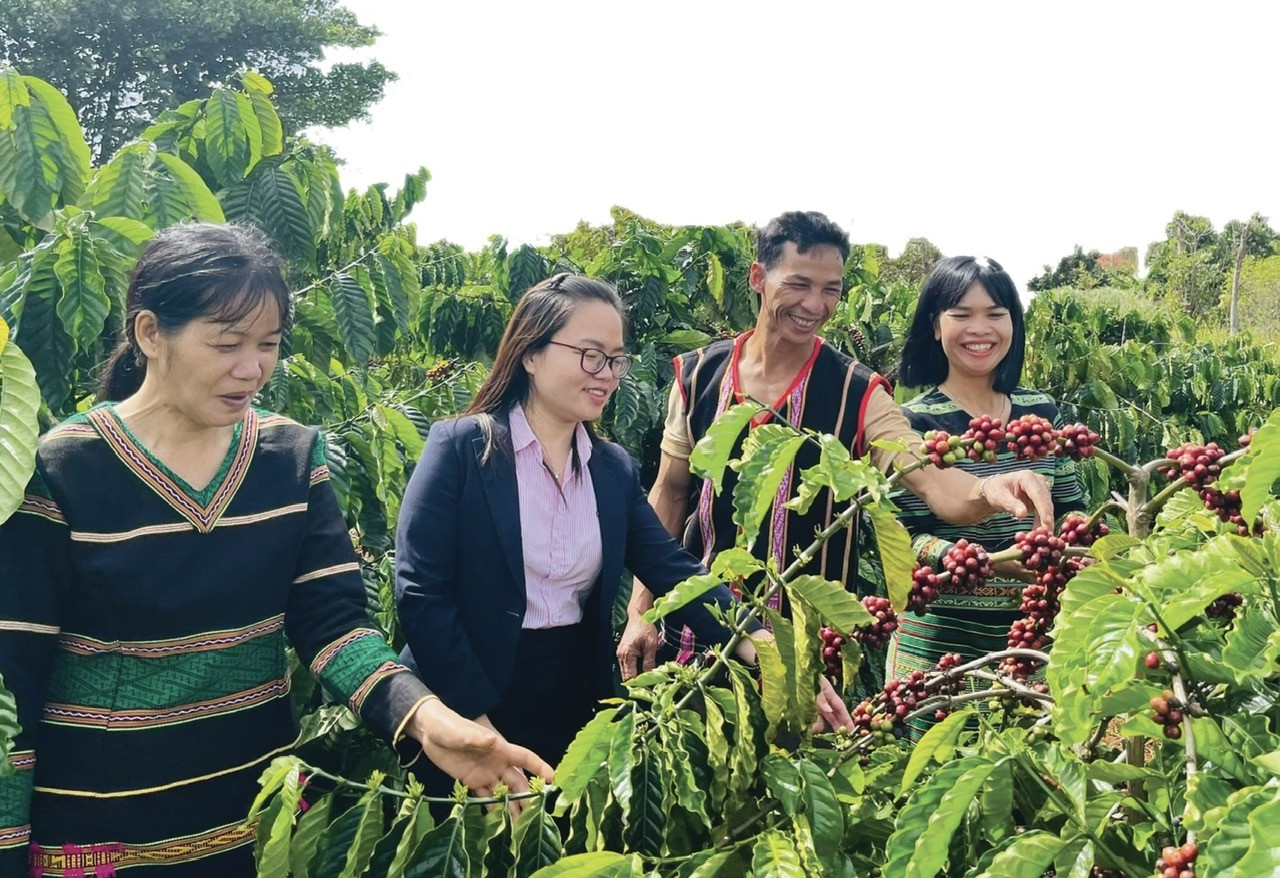 Tín dụng đen 3.jpg