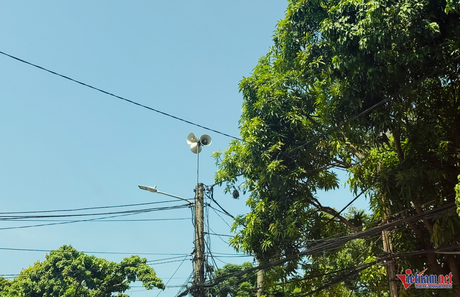 W-Phú Thọ kh.png