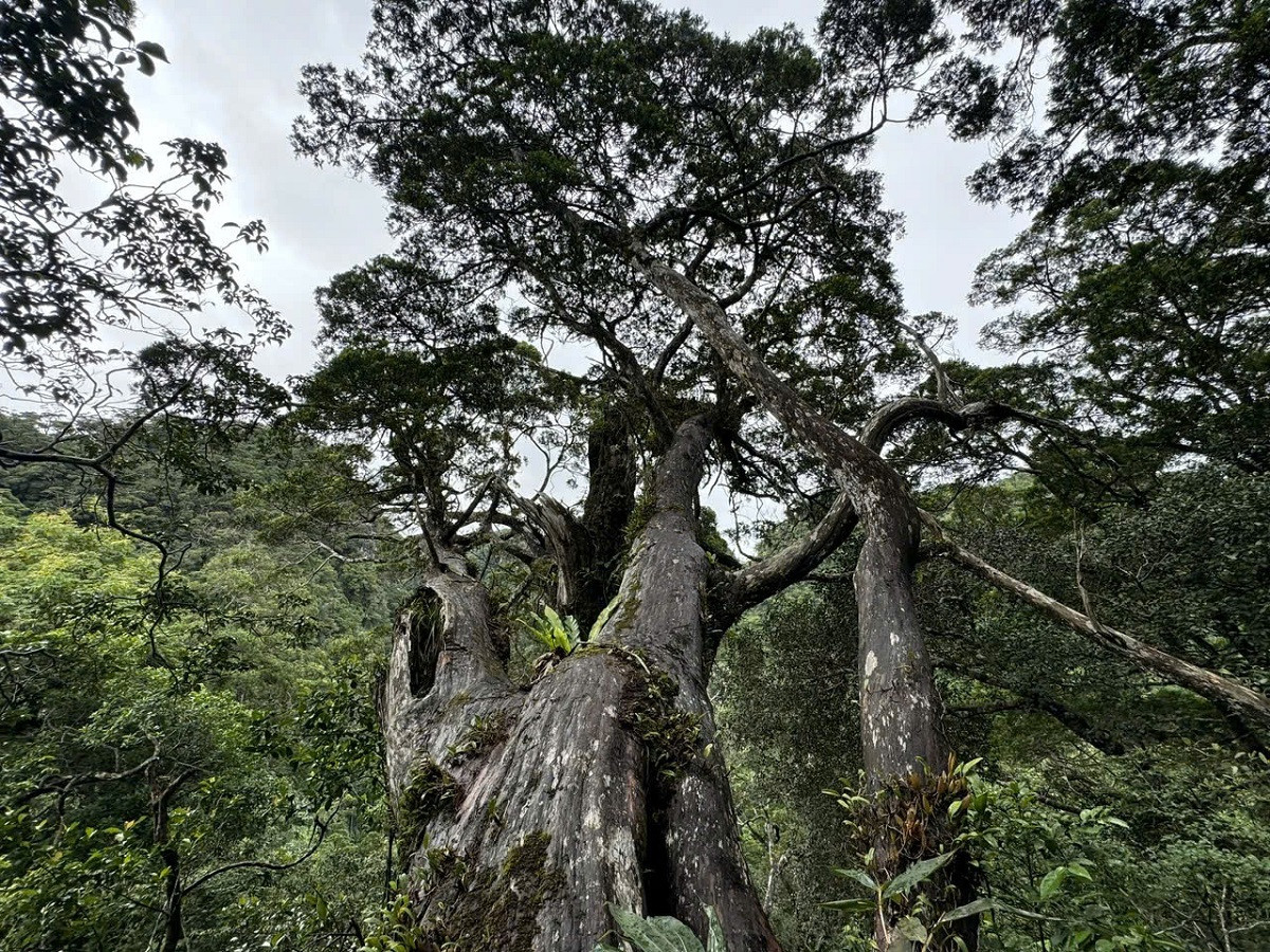 ảnh 2.jpg