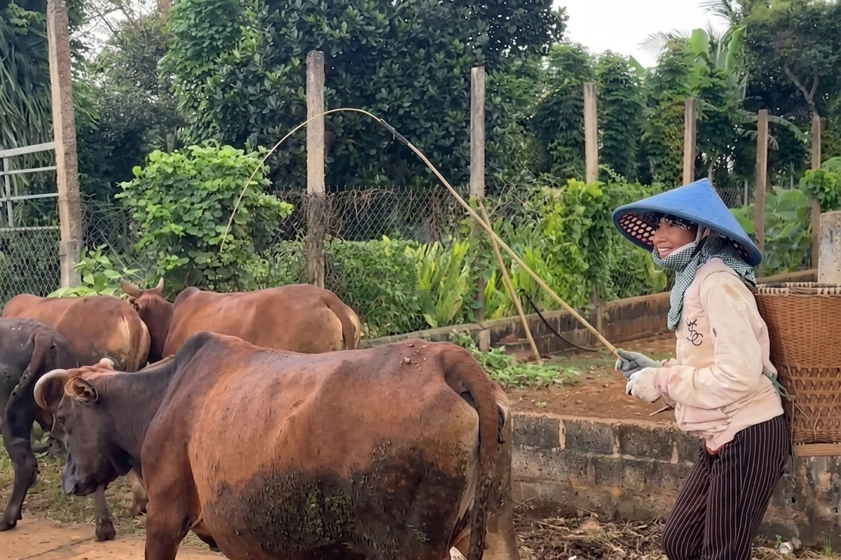 Cải thiện tình trạng “hụt thông tin” để giảm nghèo bền vững ở Đắk Lắk