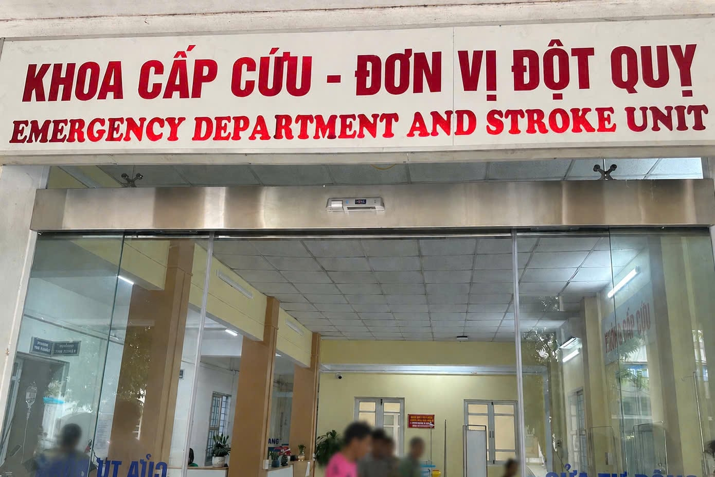 Tử vong vì cành cây đâm vào ngón tay nhưng đắp lá
