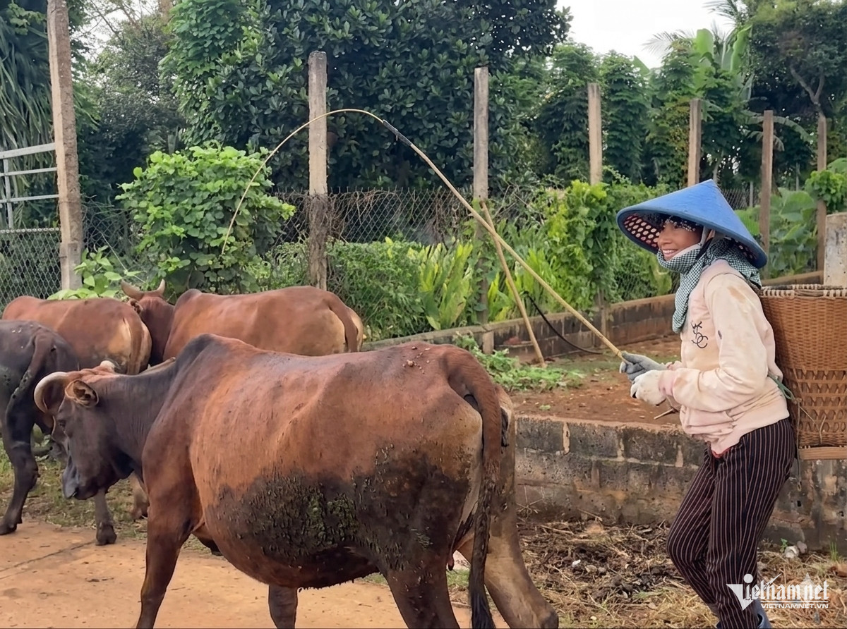 W-Dak Lak giam ngheo.jpg