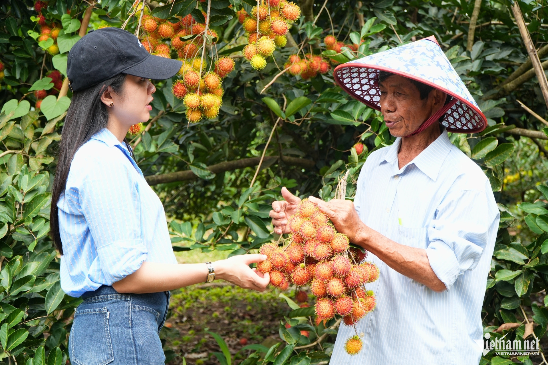 Mỗi năm chỉ có một mùa, du khách ùn ùn đến Đồng Nai tự tay hái trái chín cây W-du lich vuon.jpg