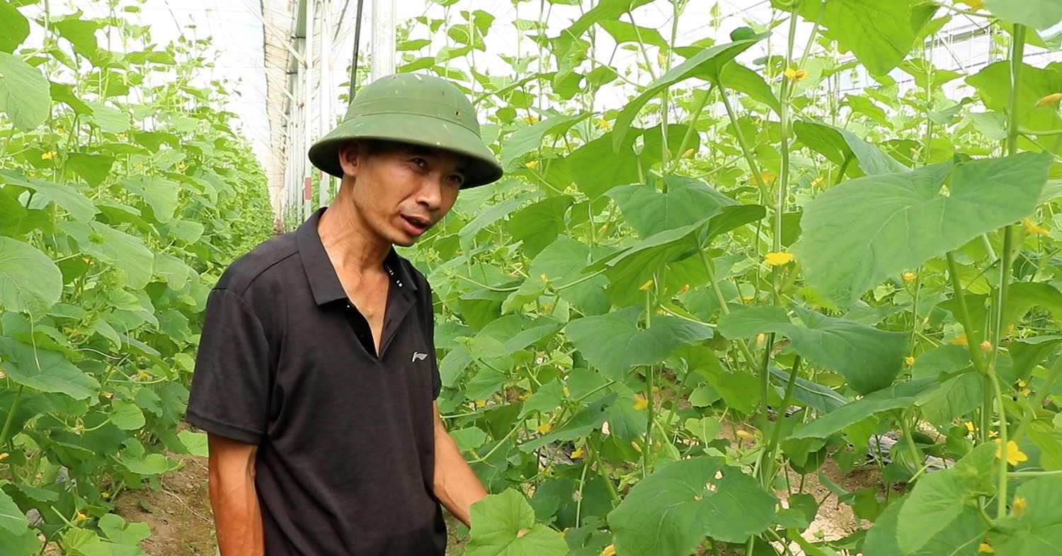 Bỏ việc lương 50 triệu ở Hà Nội, kỹ sư chi 10 tỷ về quê làm điều ít ai dám