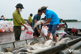 w ca chet ho tri an 4 2208.jpg