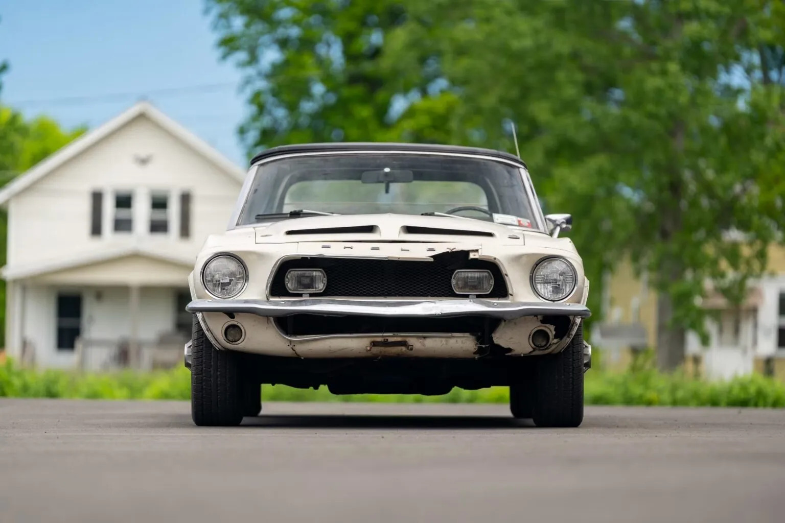 avatar Mustang.webp