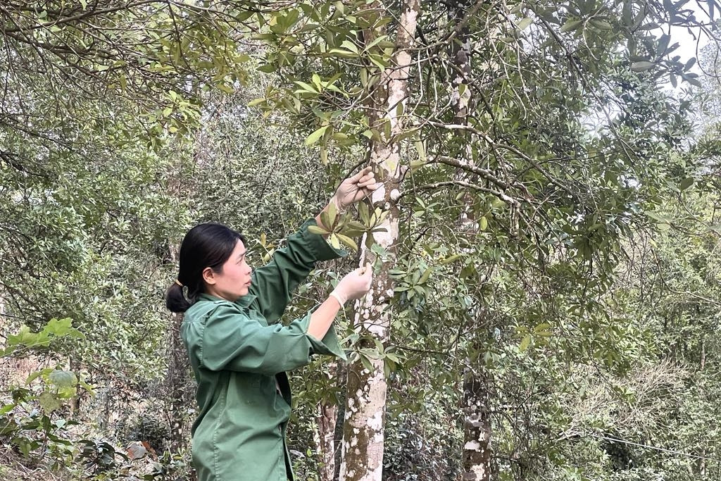 Cao Bằng: Tuyên truyền sâu rộng, xóa 