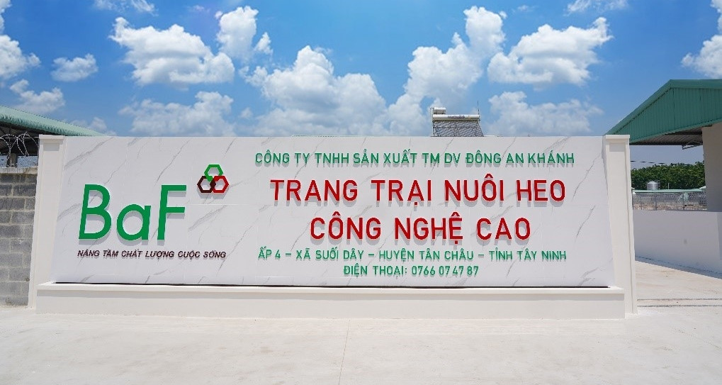 Mua lại 99,99% cổ phần nhưng không thông báo, BAF Việt Nam bị xử phạt