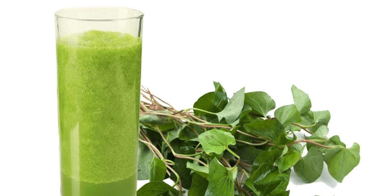 Nước ép diếp cá rất tốt nhưng 3 nhóm người nên tránh xa