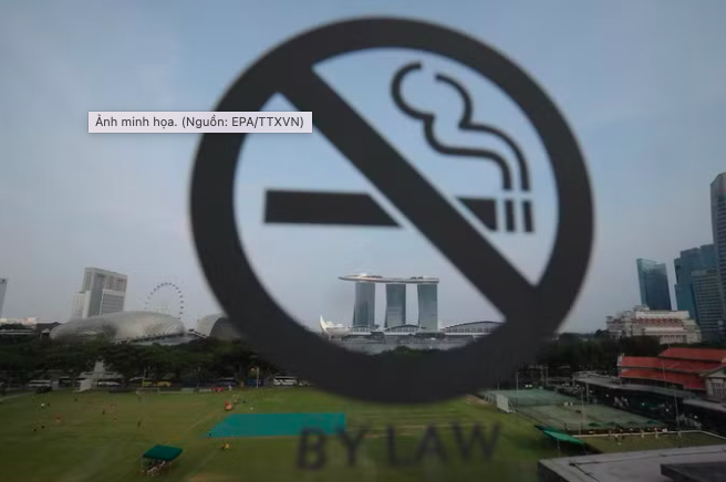 singapore6.png