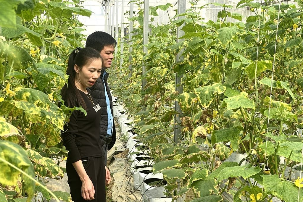 Thu hẹp khoảng cách số, giảm nghèo thông tin cho nông dân