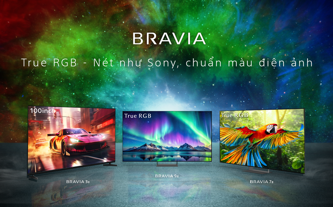 1.BRAVIA TV.png