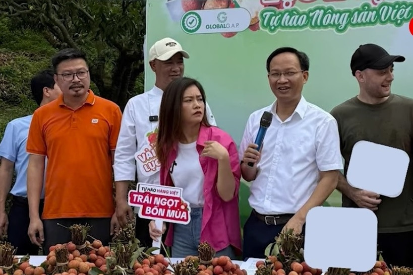 Bắc Ninh: Hỗ trợ nông dân tiêu thụ vải thiều trên môi trường số