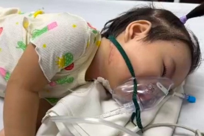 Bé gái gần 2 tuổi mắc bệnh hiểm nghèo nguy kịch, chờ phép màu ghép tế bào gốc