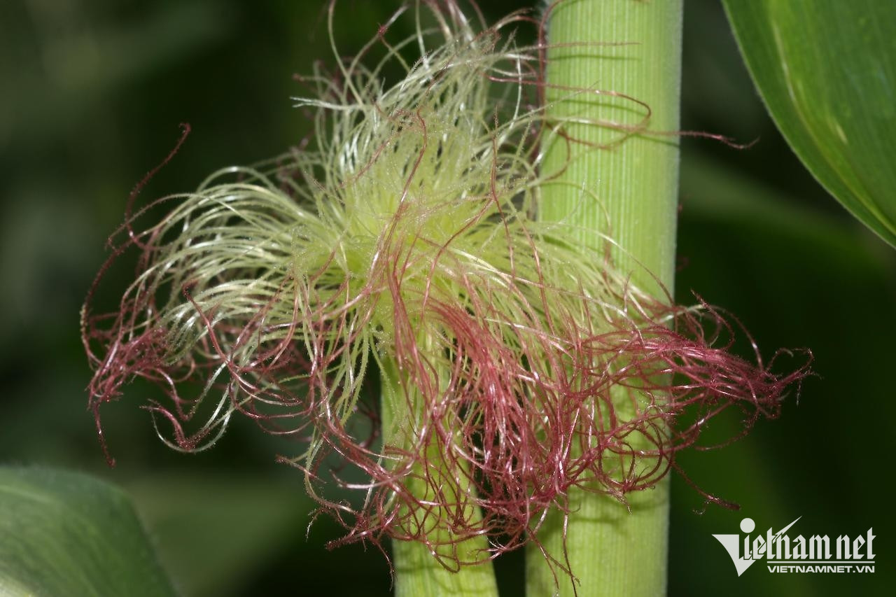 W-aa005b8b 263b 4f2d a6f4 e30cc73cf709.jpeg