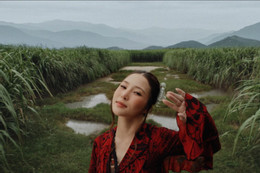 https://static-images.vnncdn.net/vps_images_publish/000001/000003/2026/7/1/huong-tram-03-3736.jpg