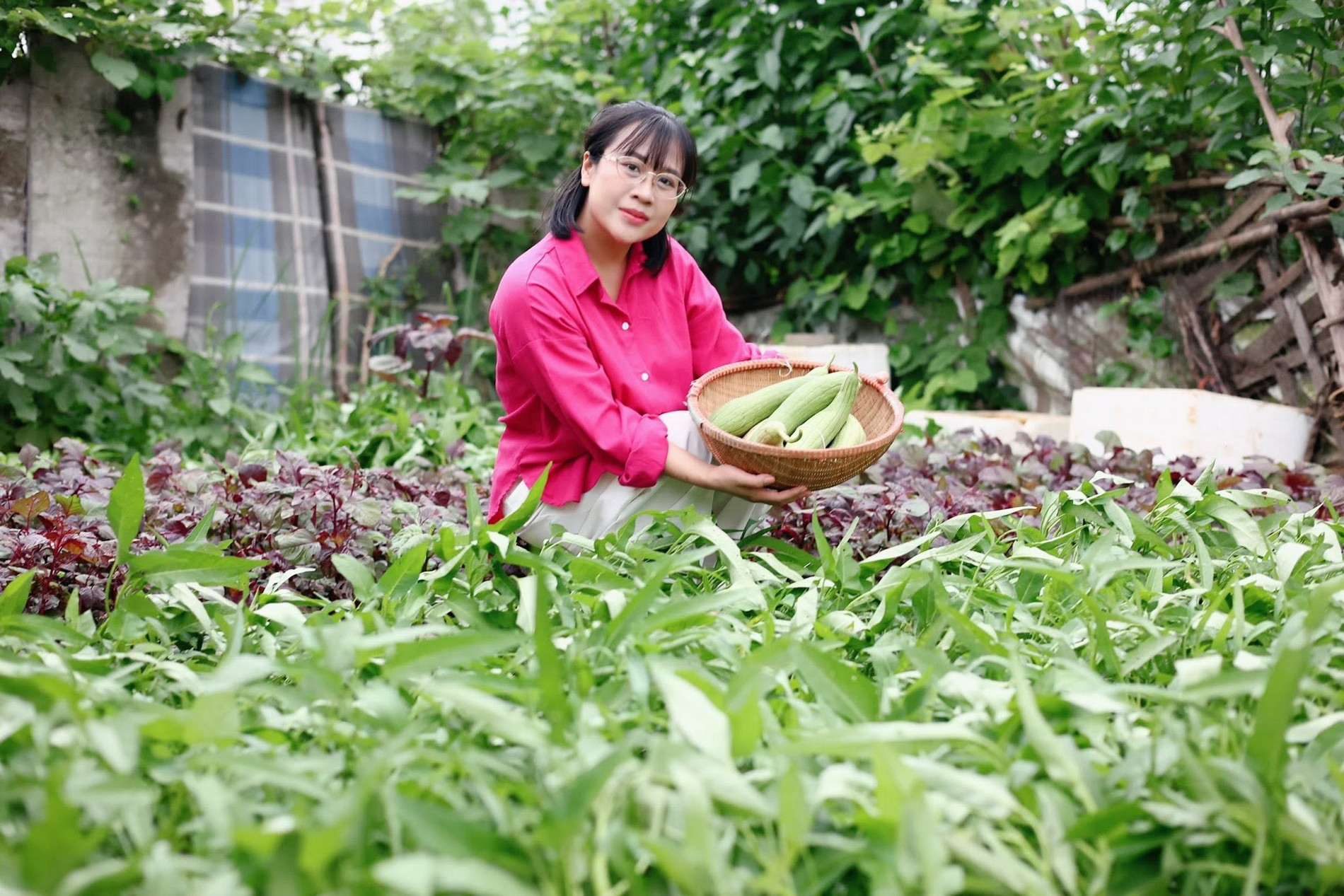 Mẹ đảm ở Hà Nội biến khu đất trống dưới chung cư thành vườn rau 200m2 xanh tốt