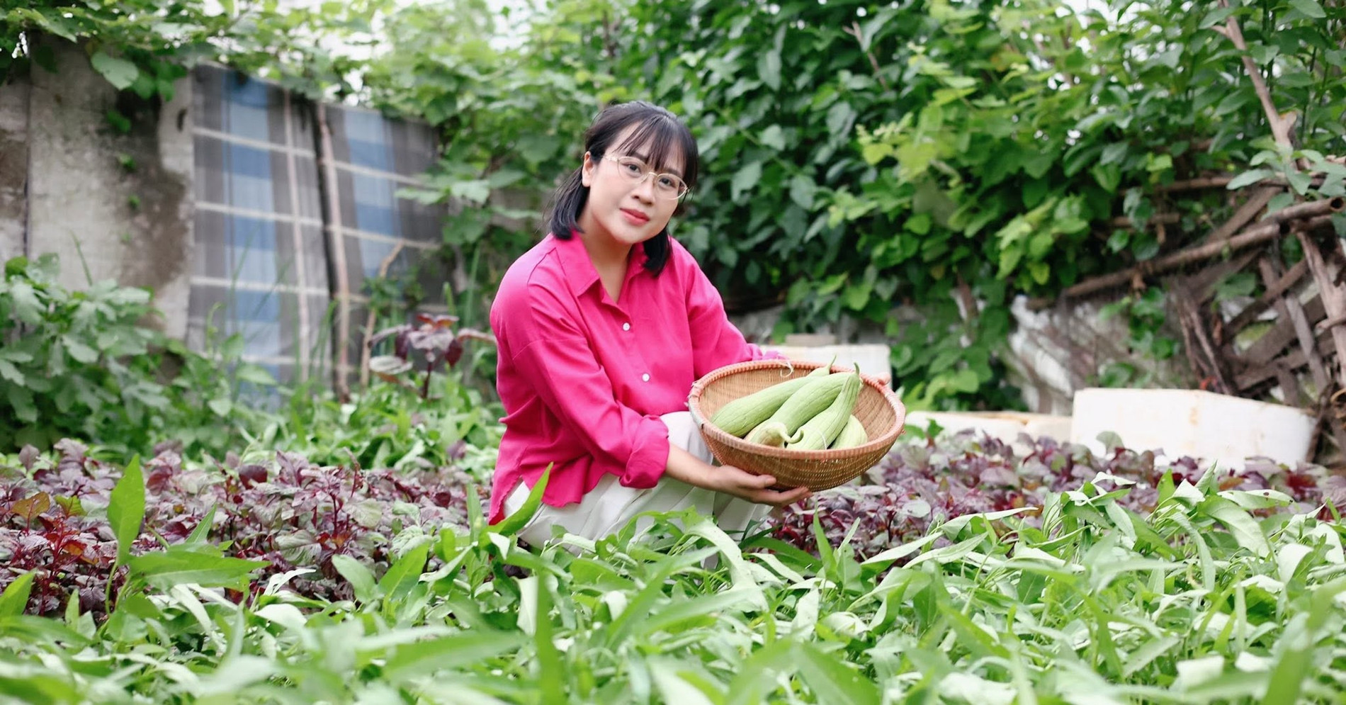 Mẹ đảm ở Hà Nội biến khu đất trống dưới chung cư thành vườn rau 200m2 xanh tốt