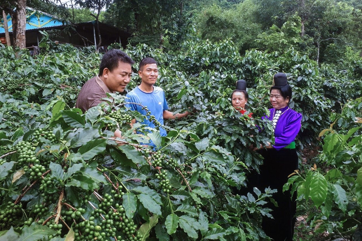 Bí thư 39 tuổi xóa 