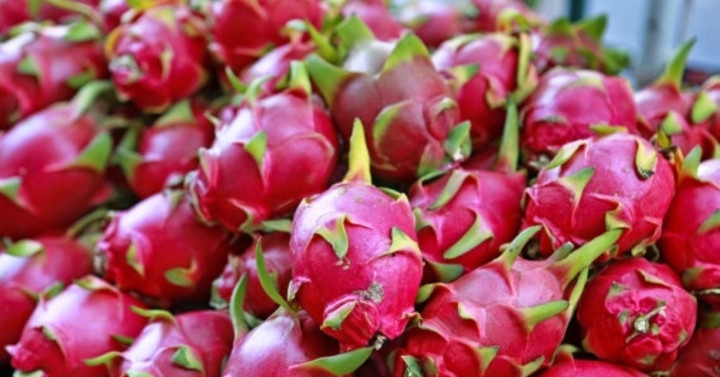Photo: vietnamnet.vn