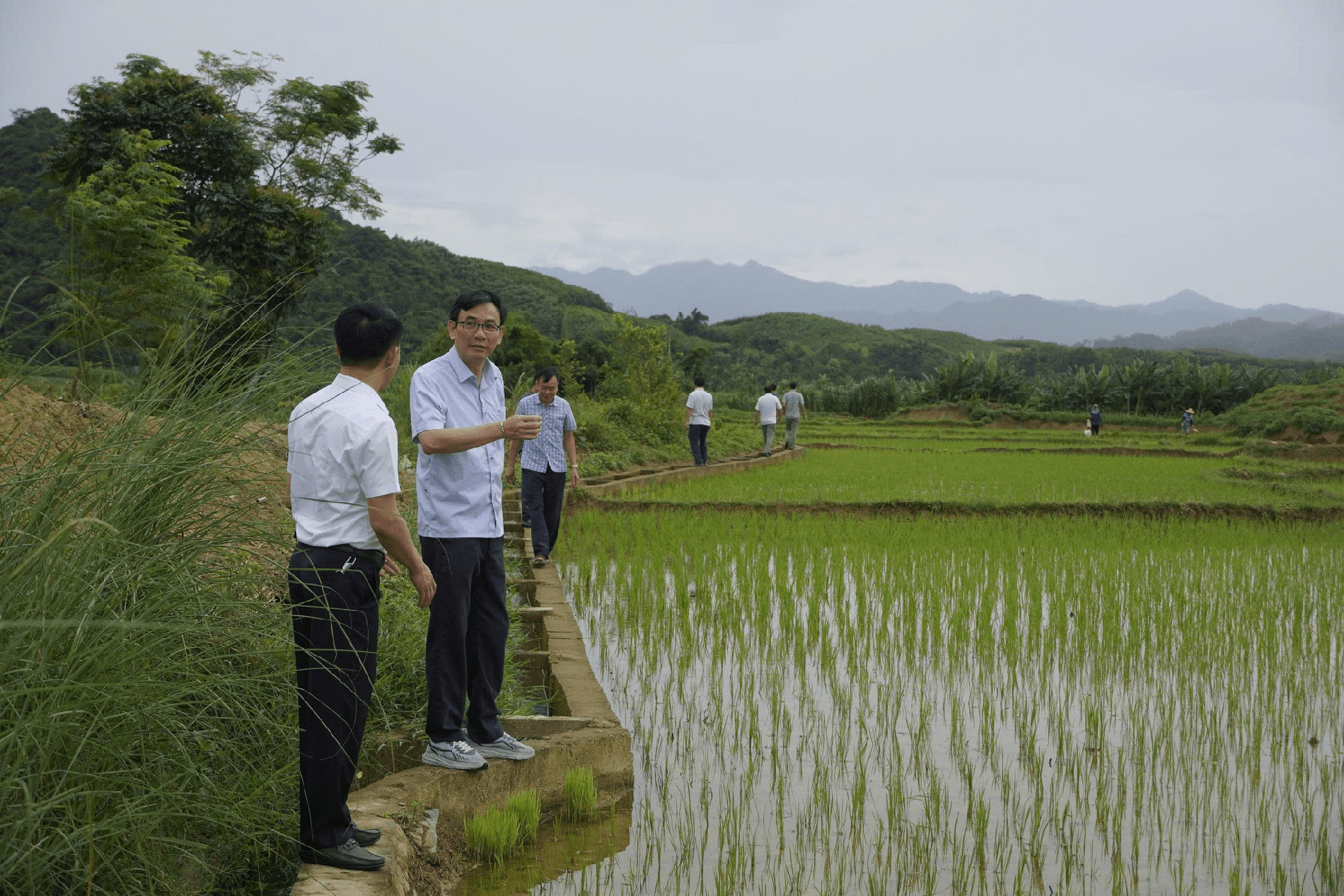 thu truong 7.jpg