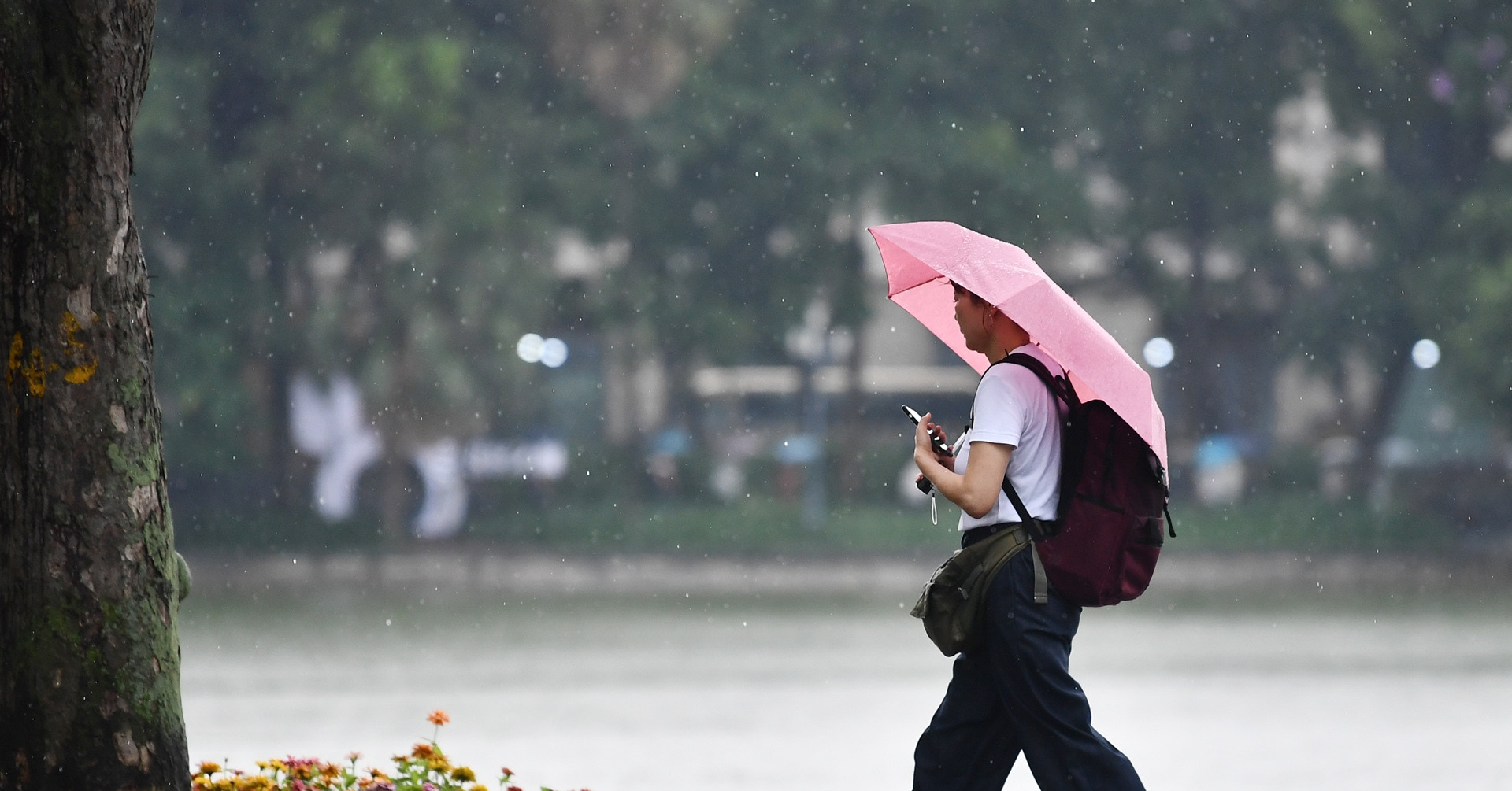 Dự báo thời tiết 11/7/2026: Mưa giông vẫn xuất hiện ở miền Bắc, Hà Nội 34 độ