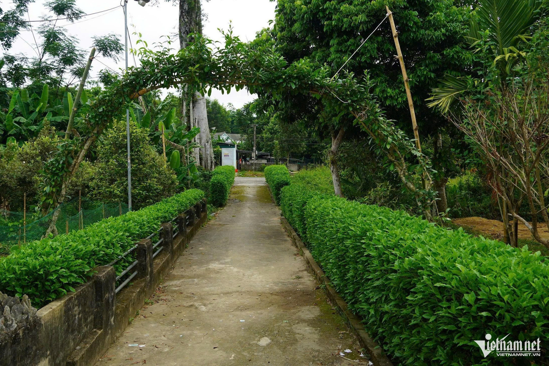 W-PSX_20260709_113108.jpg