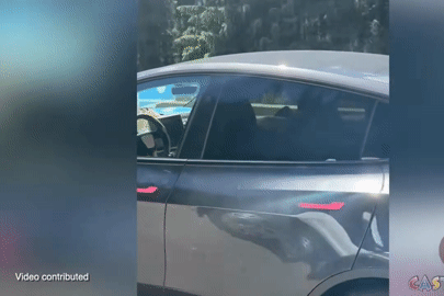 Nữ tài xế ô tô điện bị nghi ngủ gật khi chạy 100km/h trên cao tốc, chở 2 trẻ nhỏ