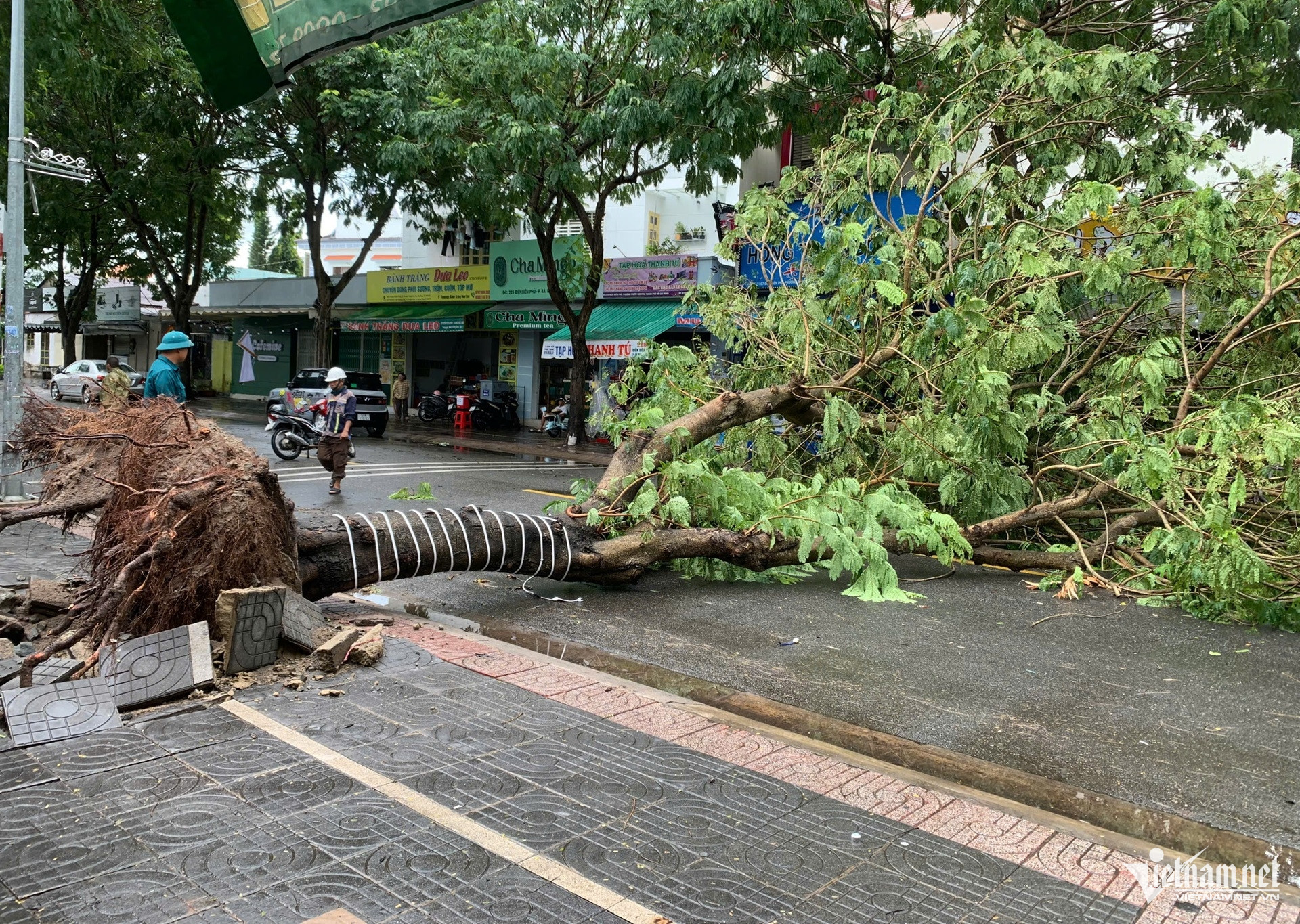 W-Mưa gió lớn quật ngã nhiều cây xanh, đè trúng ô tô ở TPHCM.7.jpg