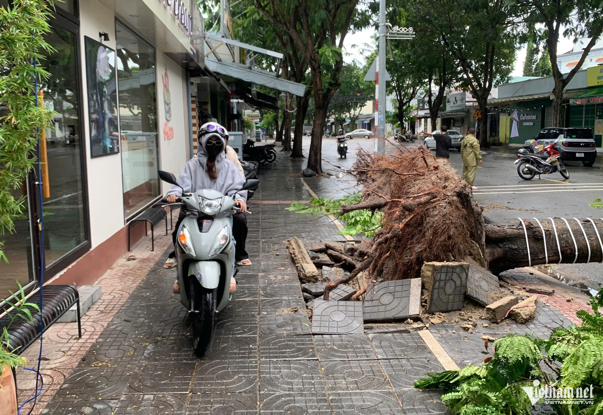 W-Mưa gió lớn quật ngã nhiều cây xanh, đè trúng ô tô ở TPHCM.8.jpg