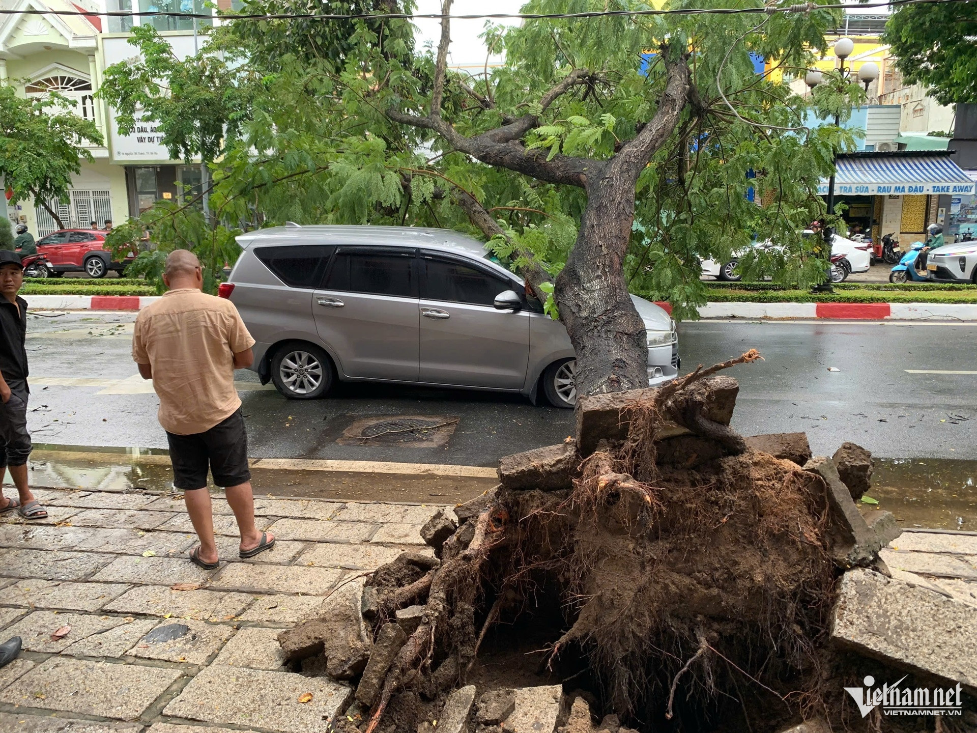 W-Mưa gió lớn quật ngã nhiều cây xanh, đè trúng ô tô ở TPHCM.9.jpg