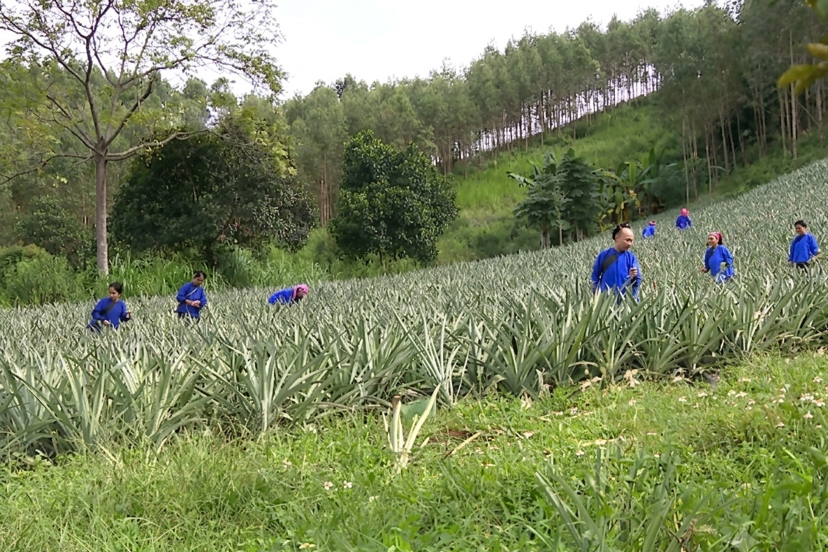 Bắc Ninh: Tăng cường tập huấn kỹ năng thương mại điện tử ở vùng sâu, vùng xa