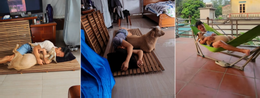 thu-cung-2.png