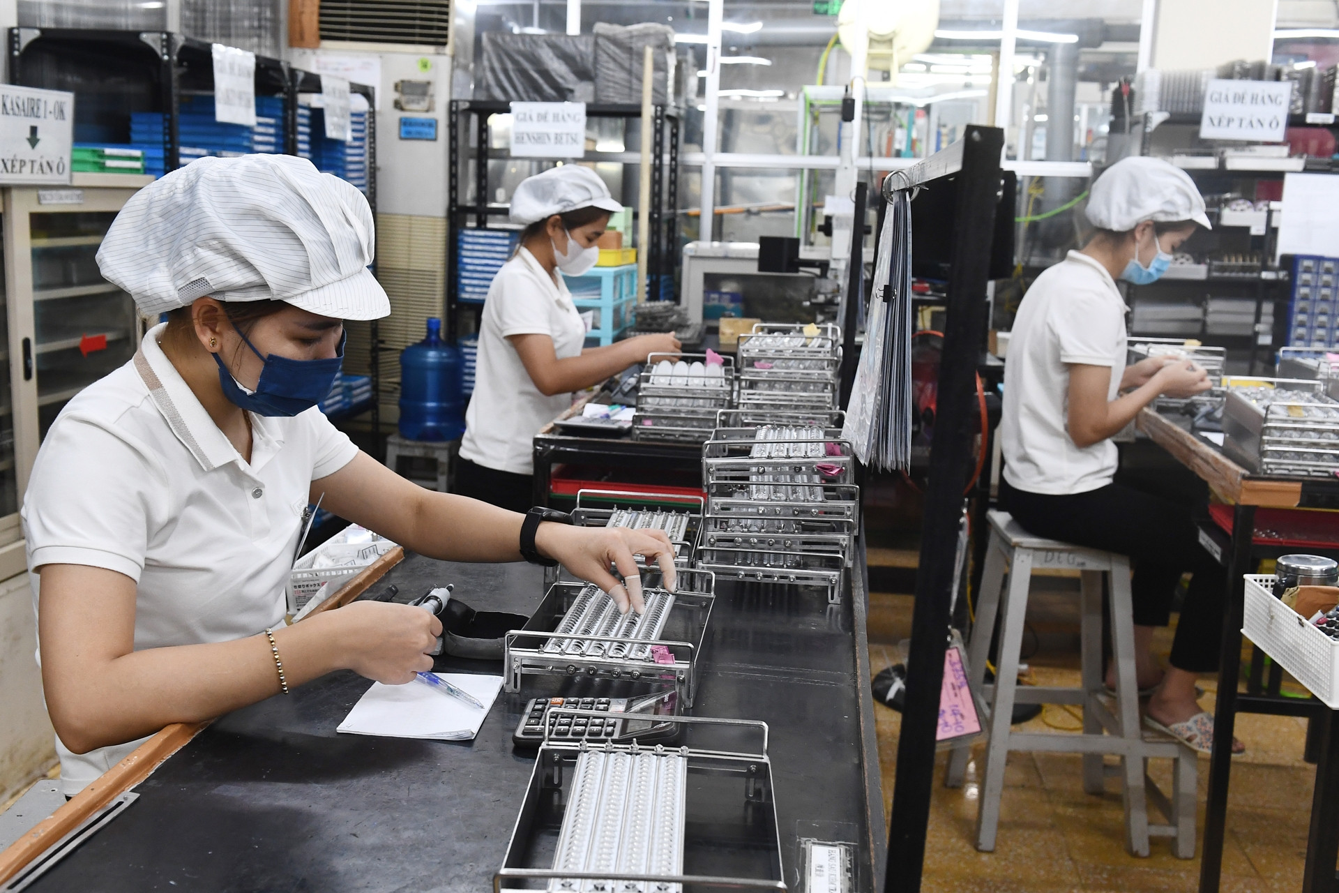 Đề nghị có chính sách đưa chuyên gia Việt Nam đi làm việc ở nước ngoài