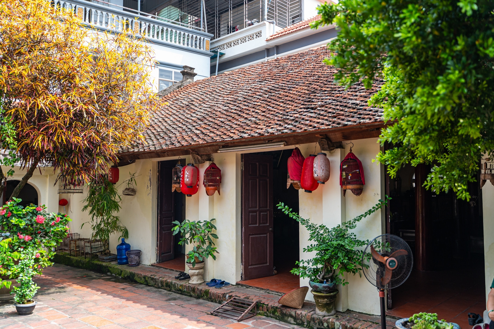 Ngôi nhà Hà Nội hơn 200 tuổi, 17 đời con cháu sinh sống, nhiều người thấy quen