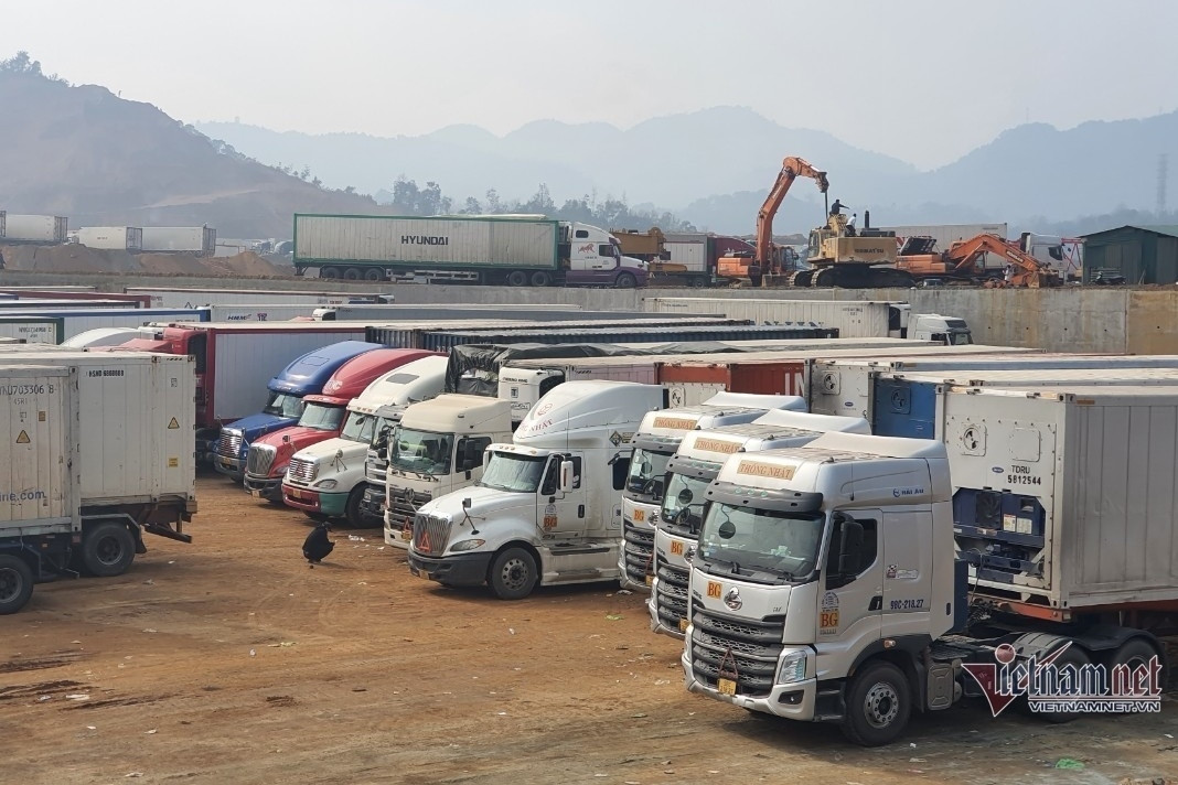 Thiếu tài xế container, chuỗi vận tải đối mặt nguy cơ đứt gãy