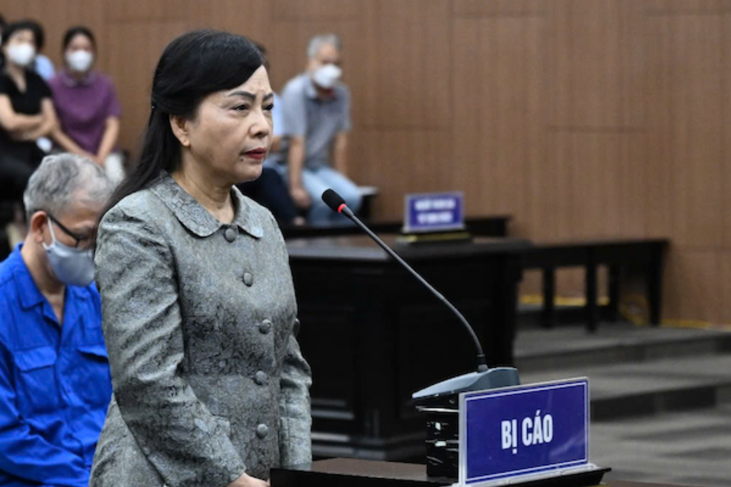 Cựu Bộ trưởng Nguyễn Thị Kim Tiến kháng cáo xin giảm nhẹ hình phạt