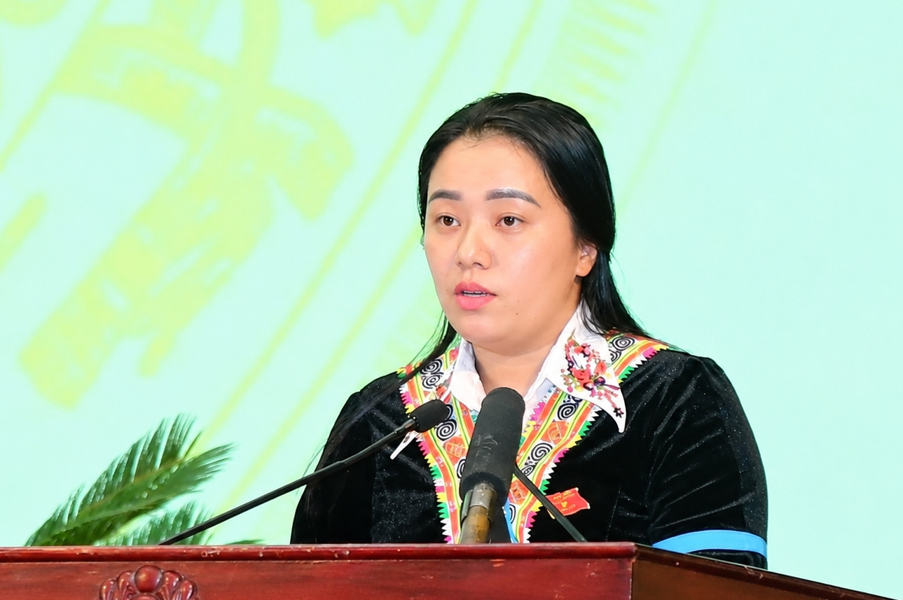 dai bieu hdnd 2.jpg